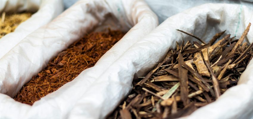 Manfaat Tanaman Herbal bagi Wanita di saat Menstruasi