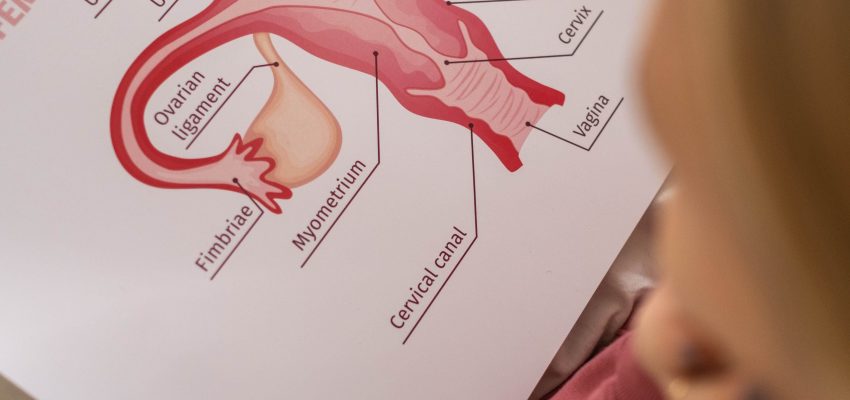 Gangguan Pada Sistem Reproduksi Wanita